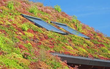 Hednesford living roof systems
